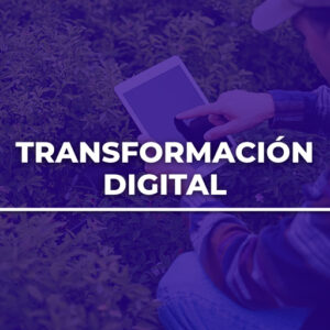 Alfa Capacitación Transformación Digital de Empresas